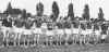 alfonsine calcio2.jpg (474615 byte)